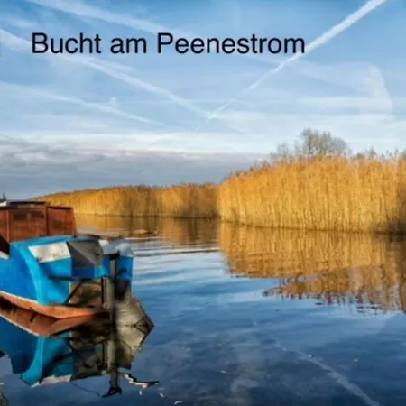 Oogenstern